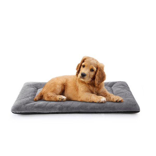Tucker Murphy Pet™ Dog Beds Crate Pad Fit Metal Dog Crates,Ultra Soft